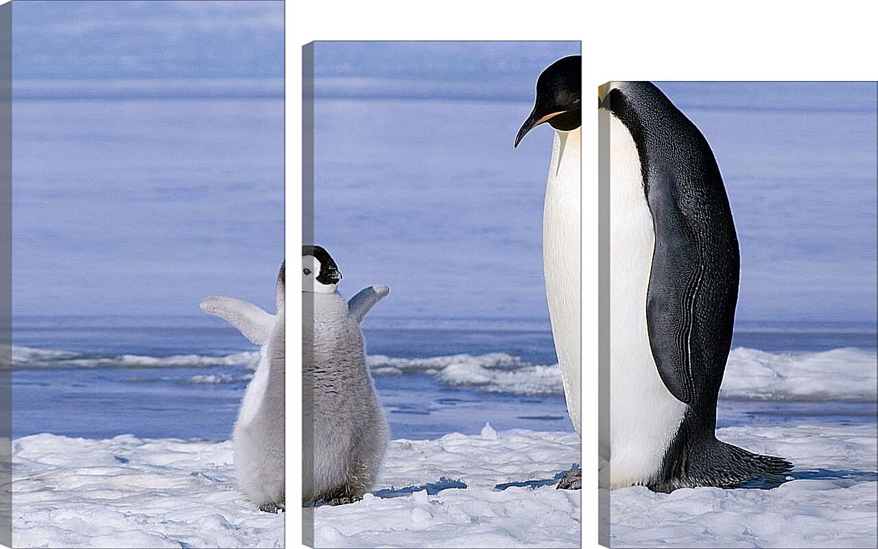 Модульная картина - Пингвин с детёнышем