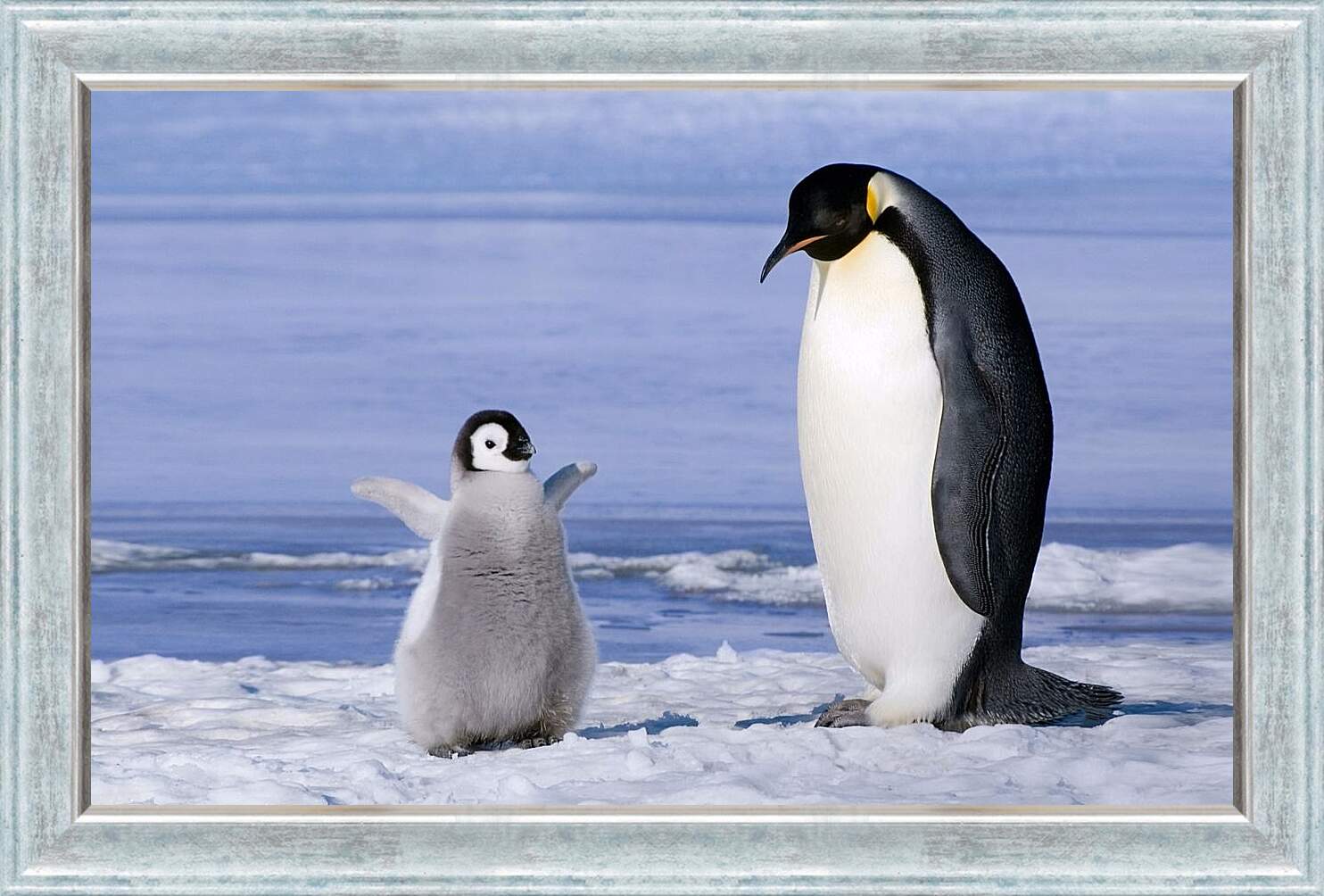 Картина в раме - Пингвин с детёнышем