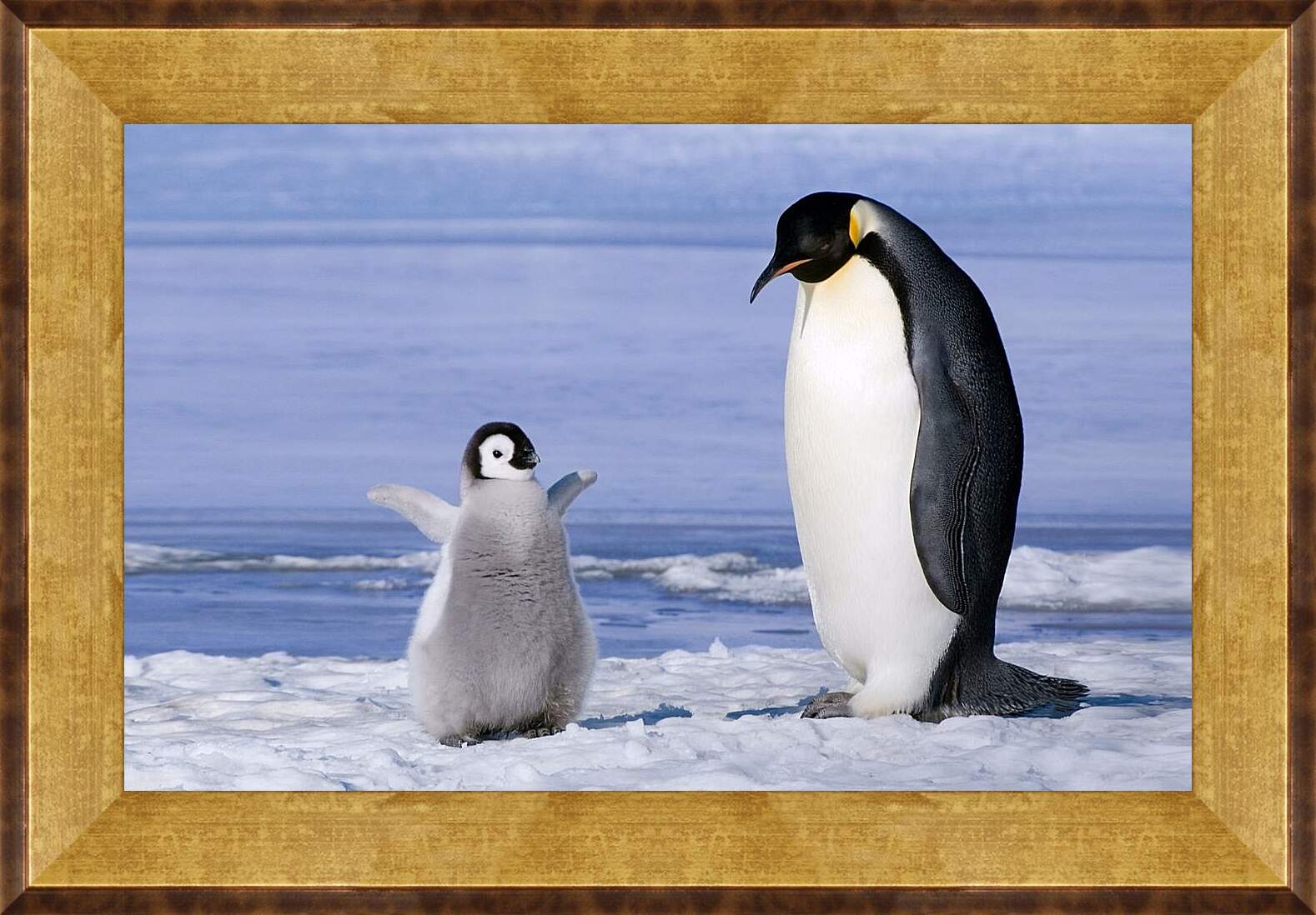 Картина в раме - Пингвин с детёнышем