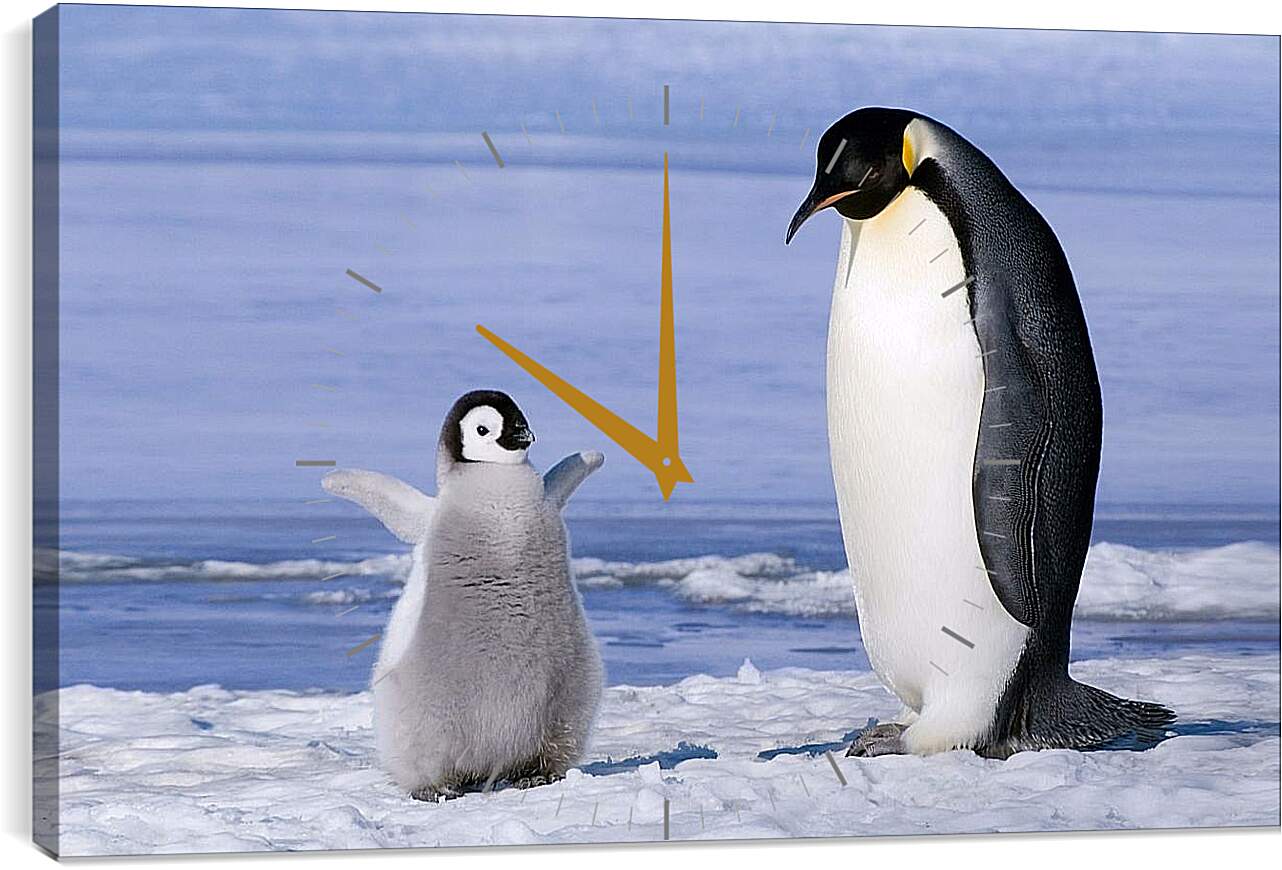 Часы картина - Пингвин с детёнышем
