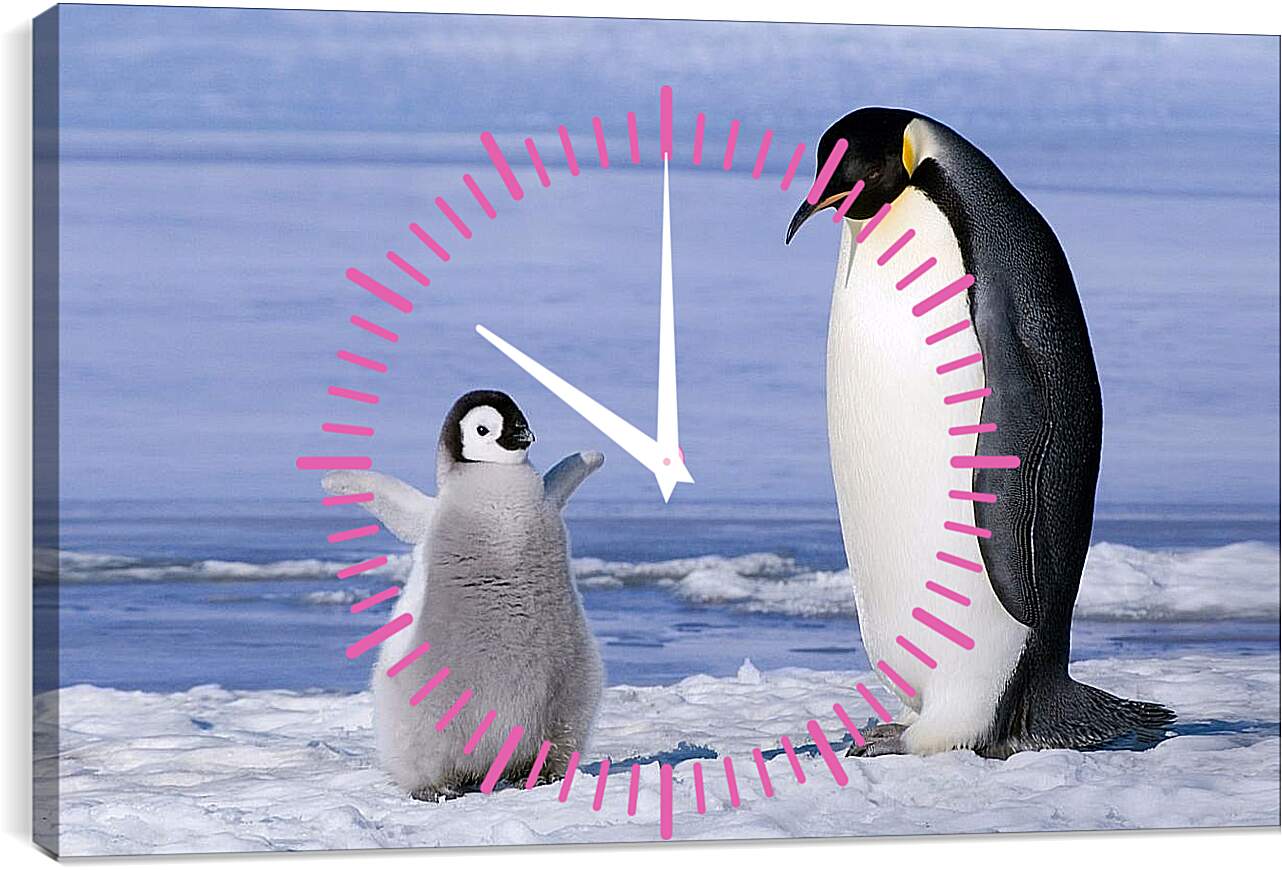 Часы картина - Пингвин с детёнышем