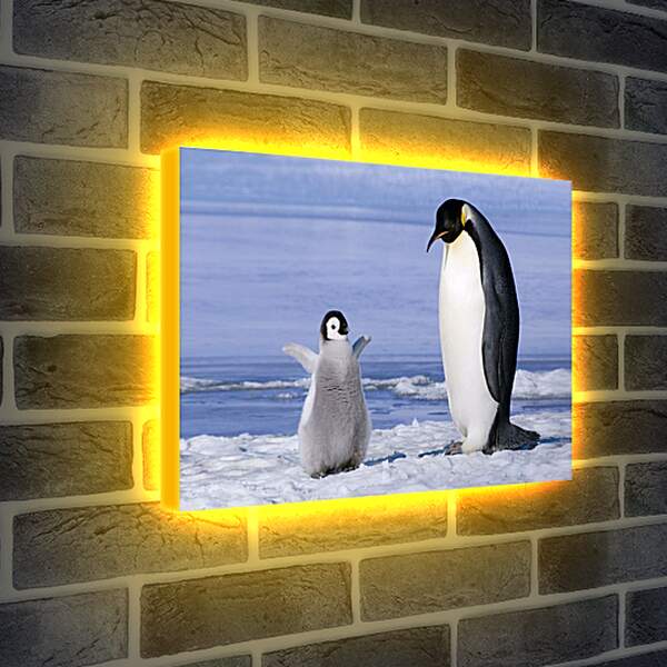 Лайтбокс световая панель - Пингвин с детёнышем