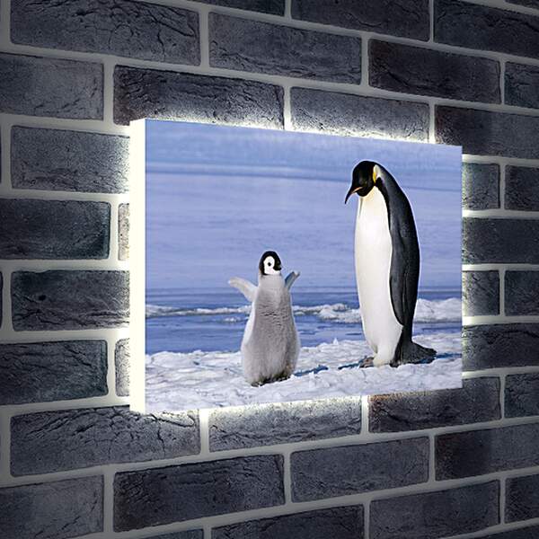 Лайтбокс световая панель - Пингвин с детёнышем