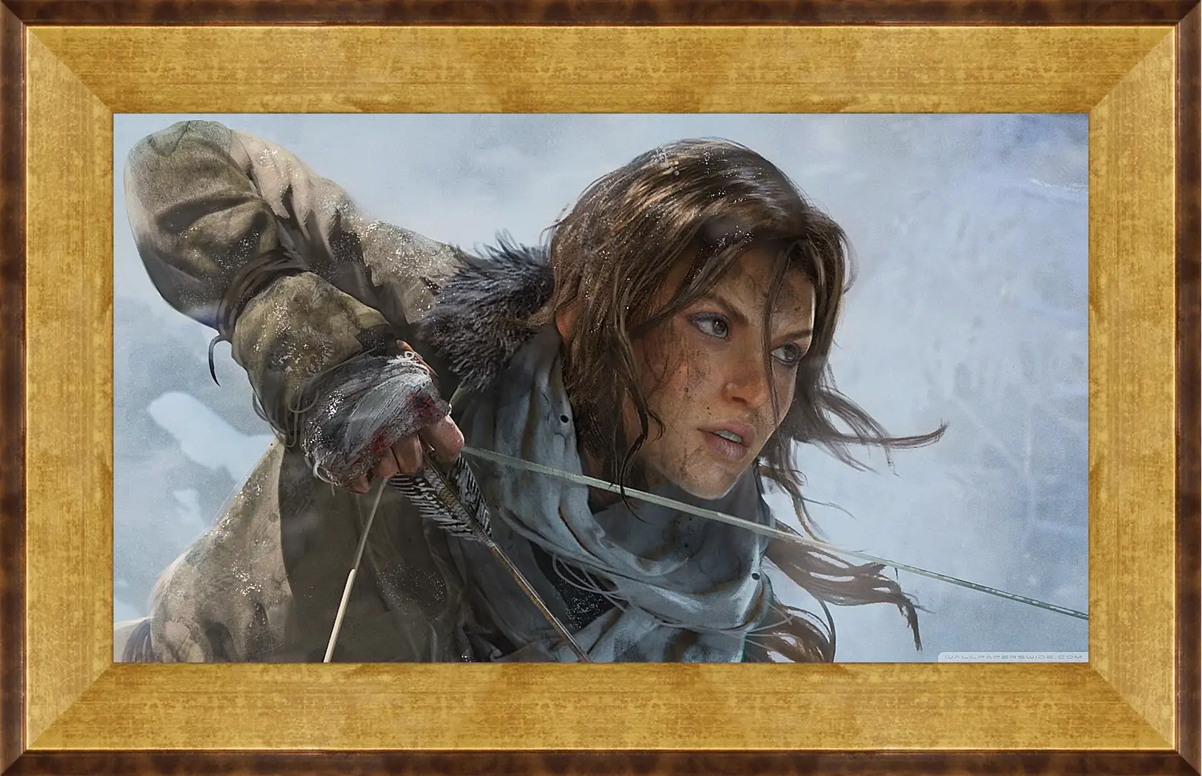 Картина в раме - Rise Of The Tomb Raider