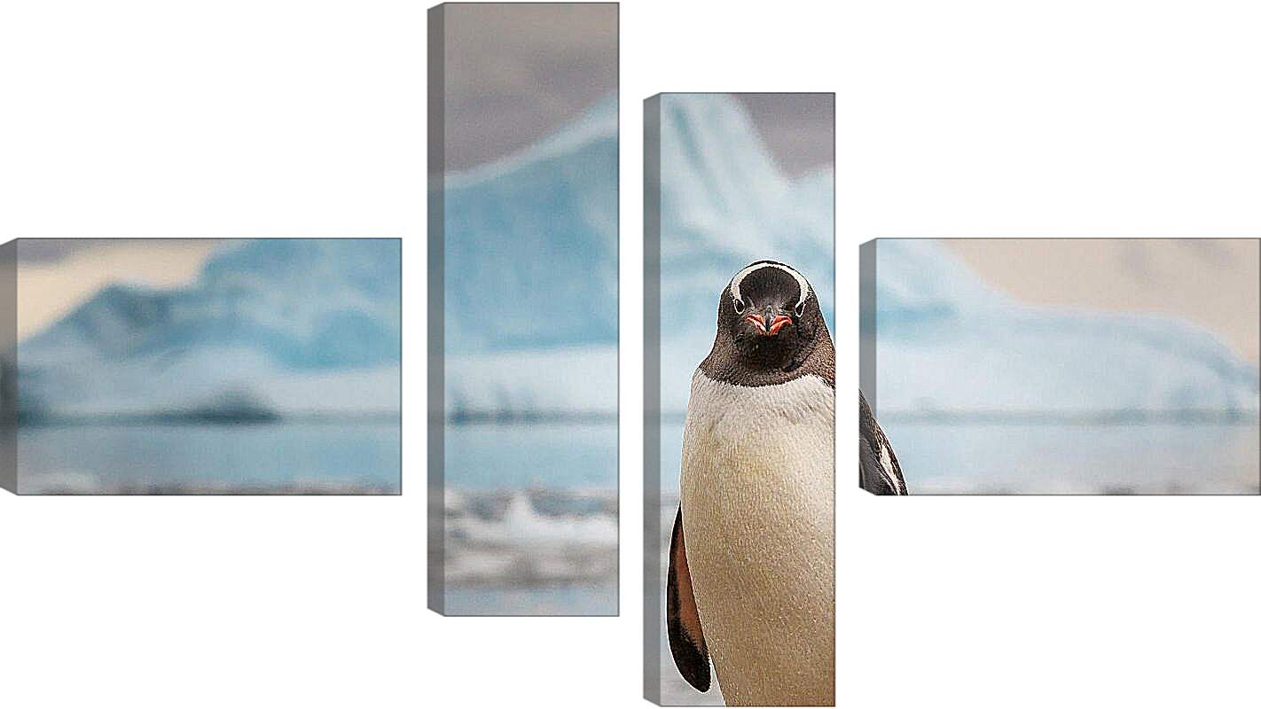 Модульная картина - Пингвин на фоне Айсберга