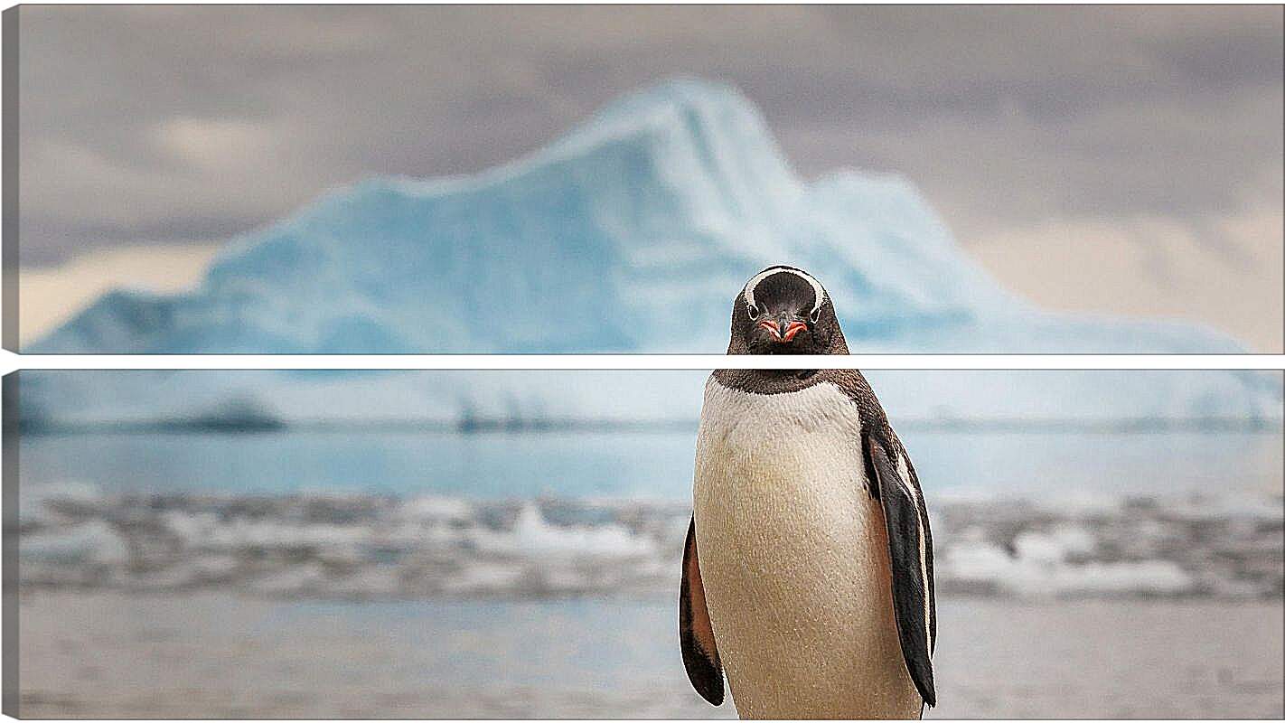 Модульная картина - Пингвин на фоне Айсберга