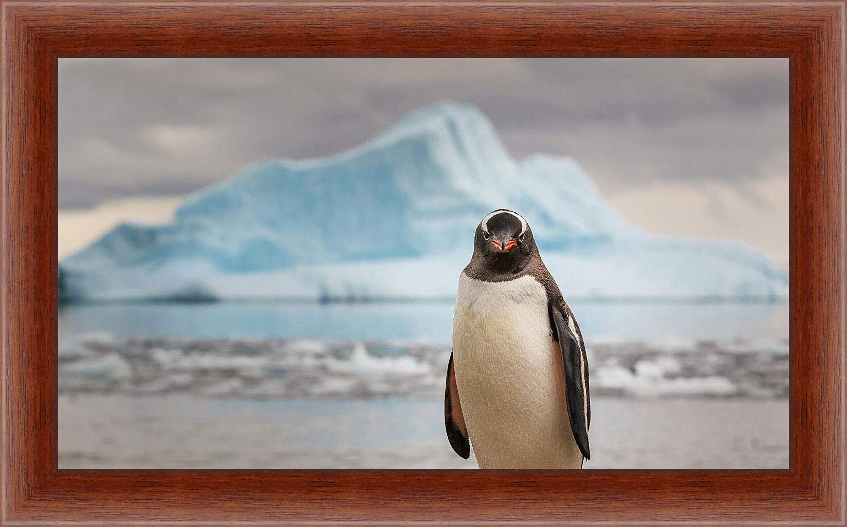 Картина в раме - Пингвин на фоне Айсберга