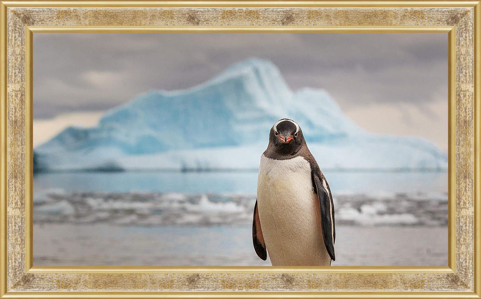 Картина в раме - Пингвин на фоне Айсберга