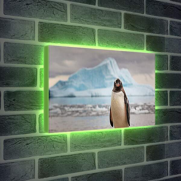 Лайтбокс световая панель - Пингвин на фоне Айсберга