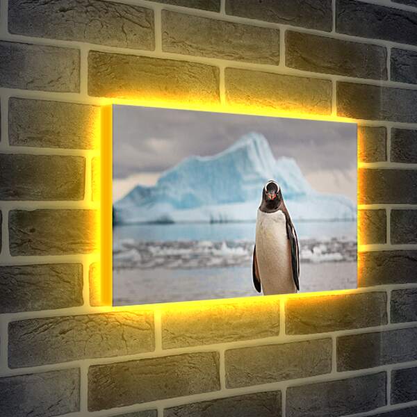 Лайтбокс световая панель - Пингвин на фоне Айсберга