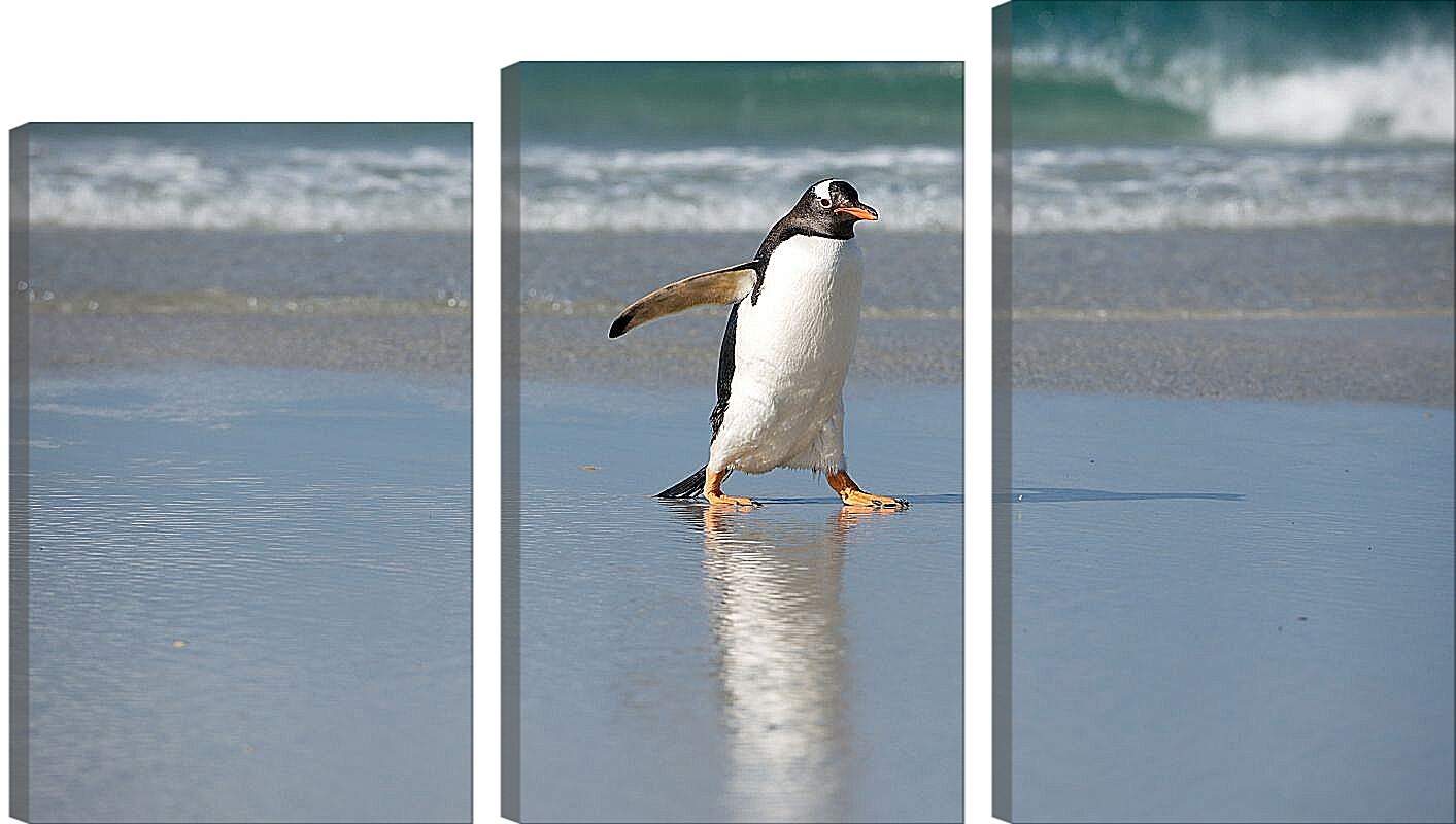 Модульная картина - Идущий пингвин