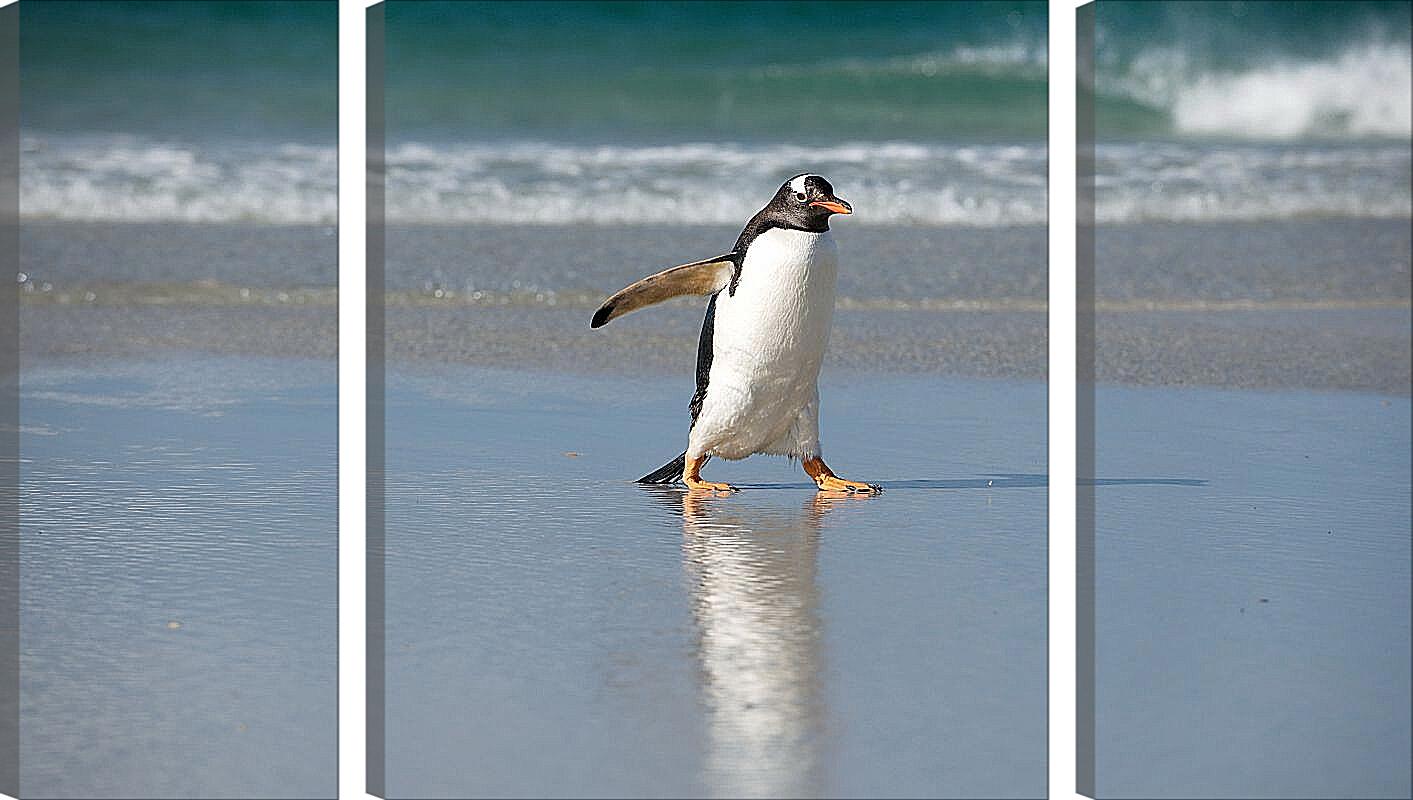 Пингвины идут с пляжа молча. Пингвин идет. Пингвин ходит боком. Пингвины ходят на корточках. Пингвин идет в даль.