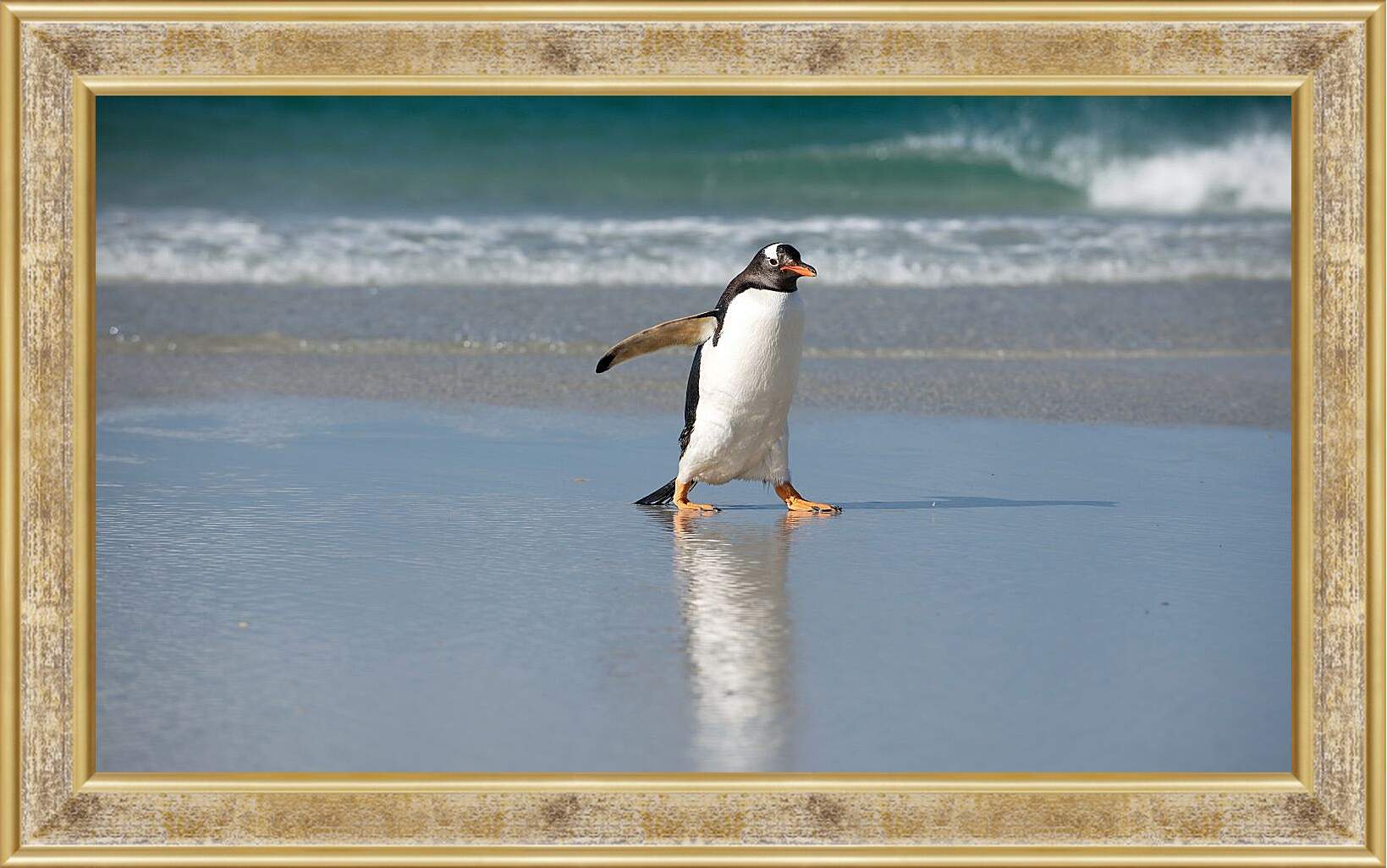 Картина в раме - Идущий пингвин