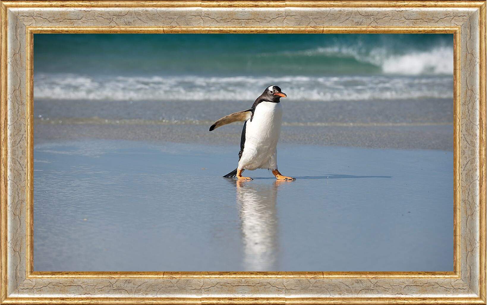 Картина в раме - Идущий пингвин