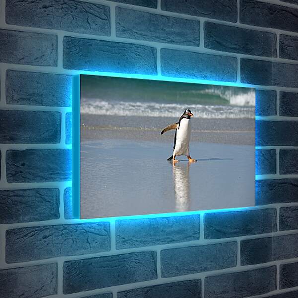 Лайтбокс световая панель - Идущий пингвин