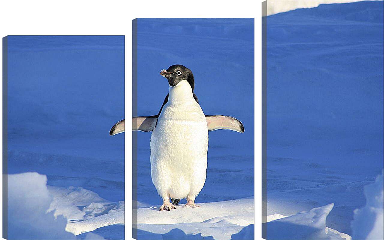Модульная картина - Пингвин на снегу