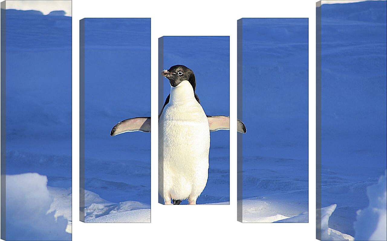 Модульная картина - Пингвин на снегу