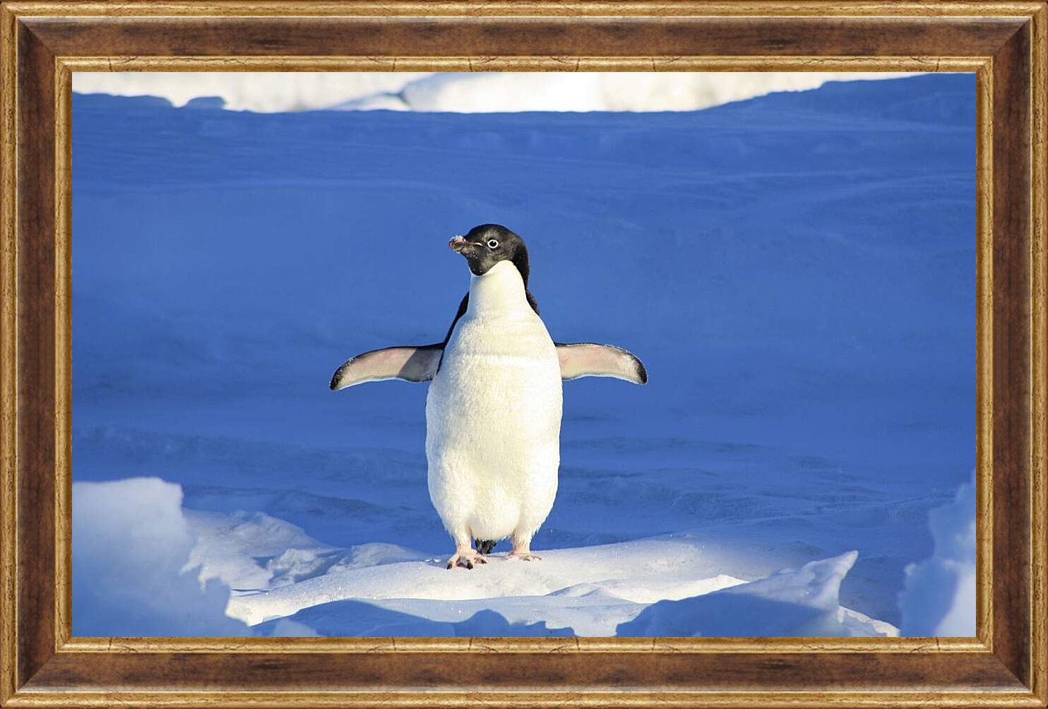 Картина в раме - Пингвин на снегу