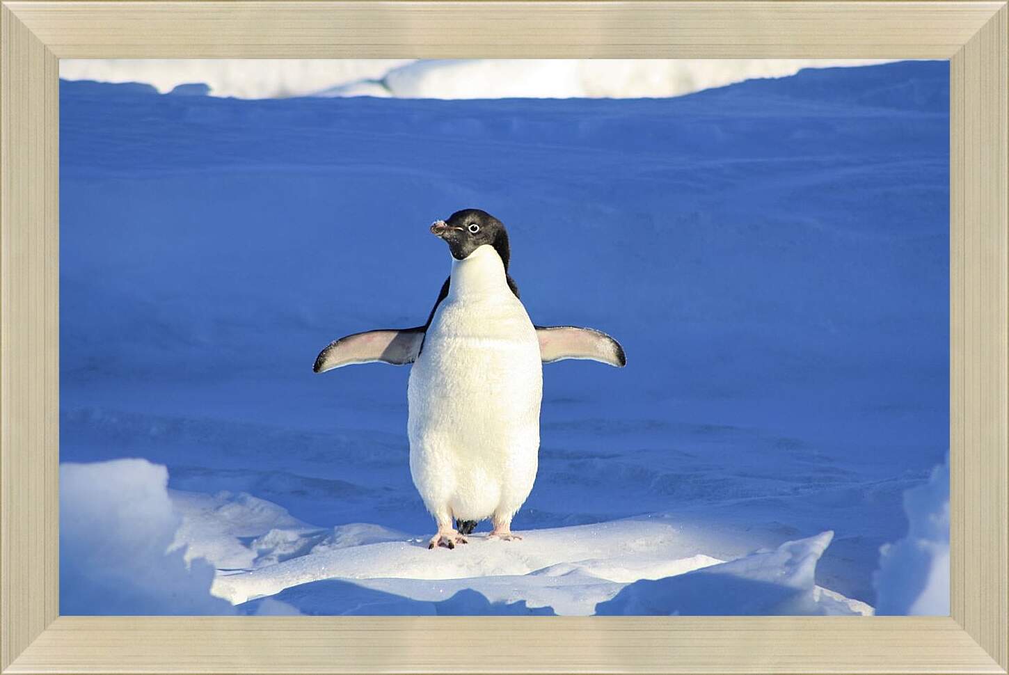 Картина в раме - Пингвин на снегу