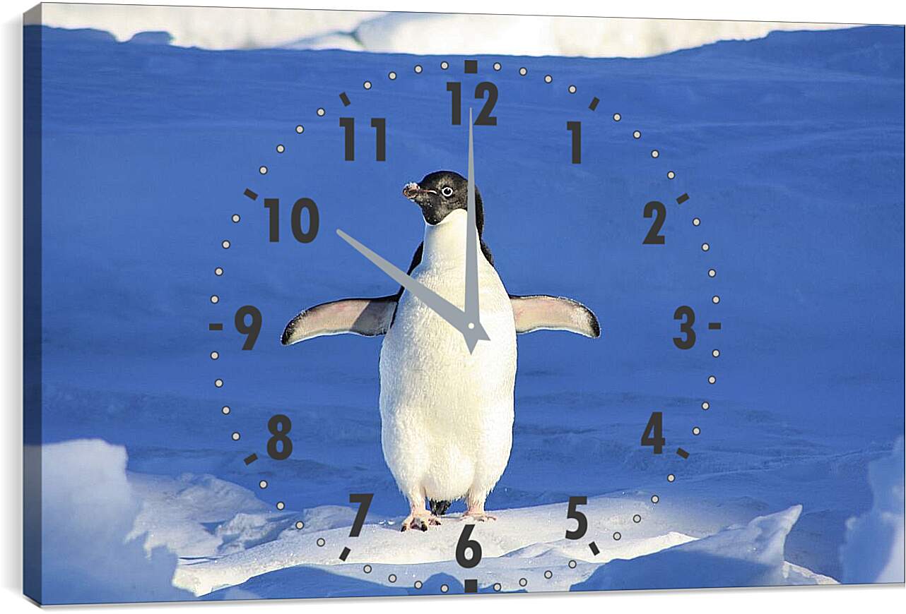 Часы картина - Пингвин на снегу