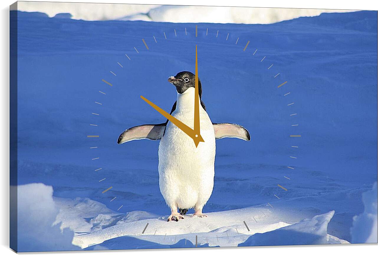 Часы картина - Пингвин на снегу