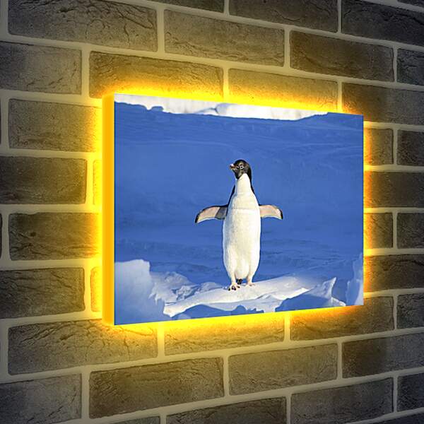 Лайтбокс световая панель - Пингвин на снегу