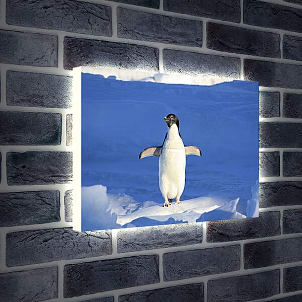 Лайтбокс световая панель - Пингвин на снегу
