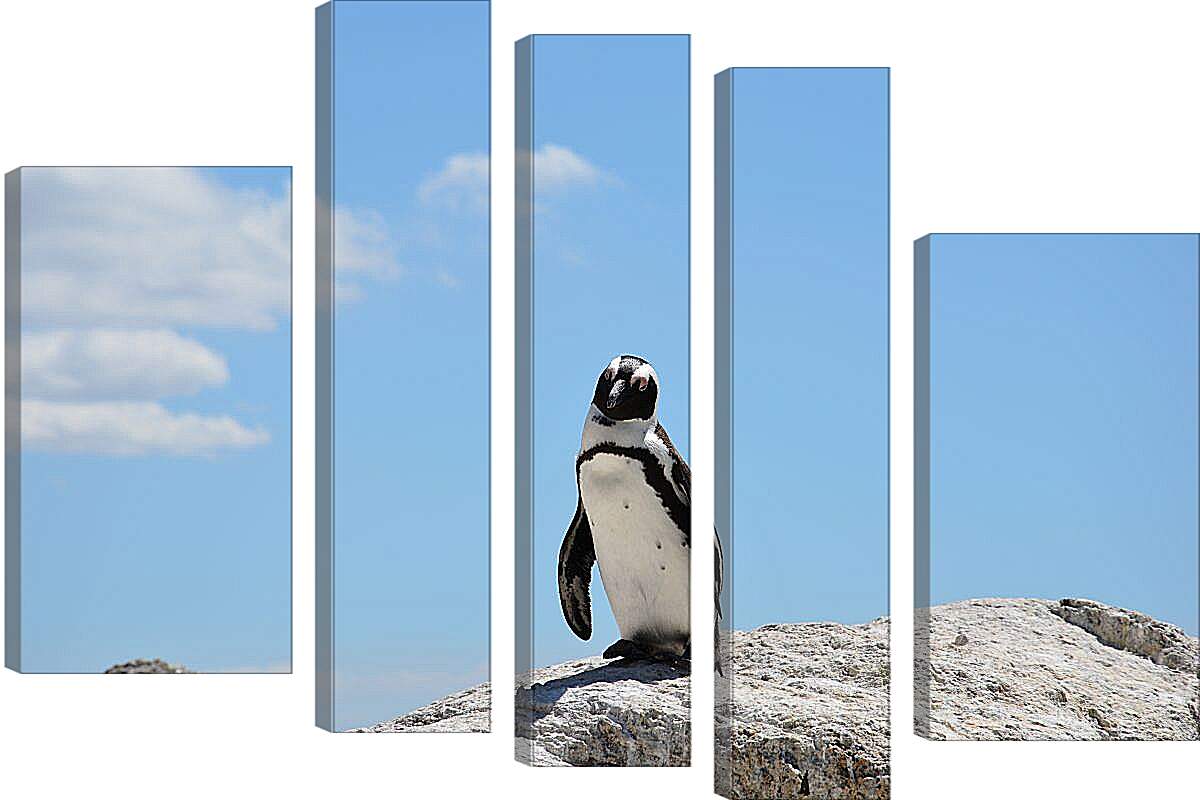 Модульная картина - Пингвин на камне