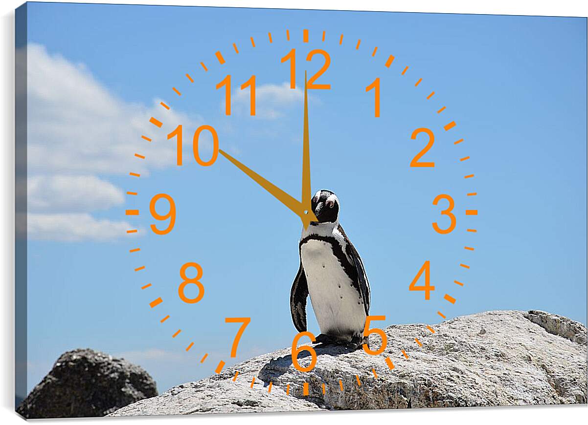 Часы картина - Пингвин на камне