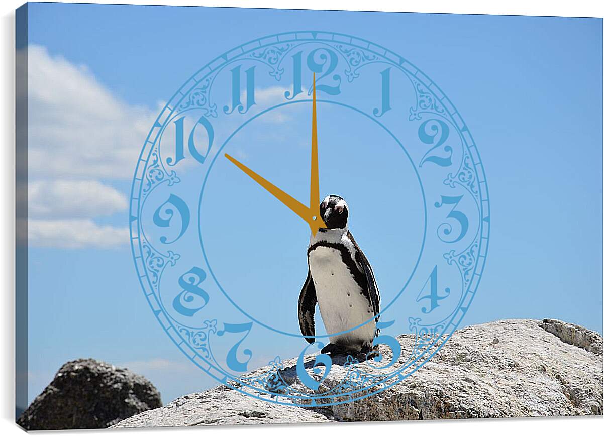 Часы картина - Пингвин на камне