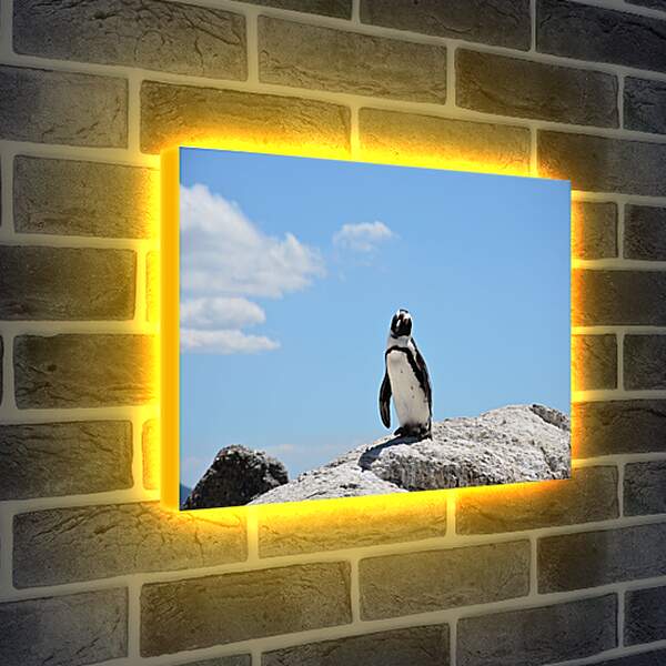 Лайтбокс световая панель - Пингвин на камне