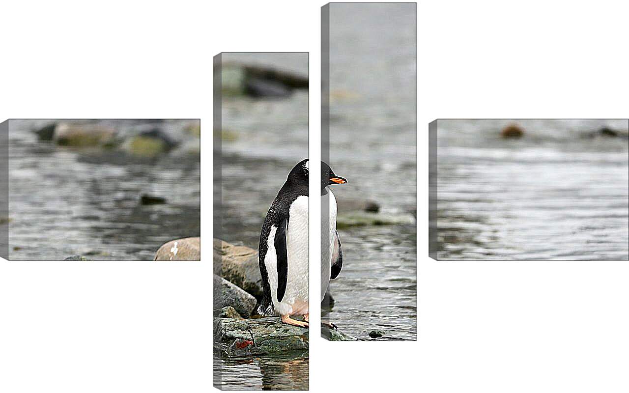 Модульная картина - Пингвин на камнях