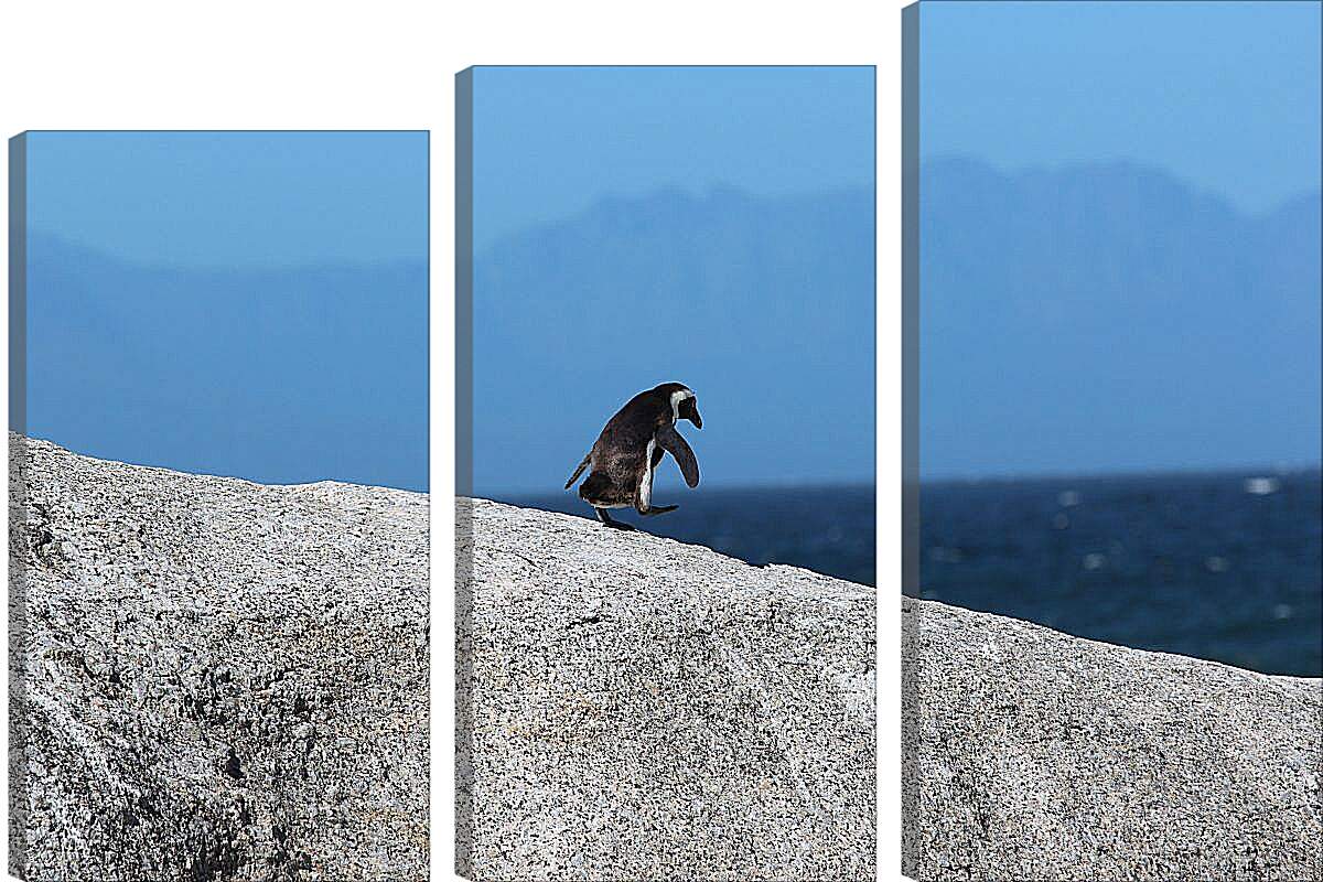 Модульная картина - Пингвин на скале