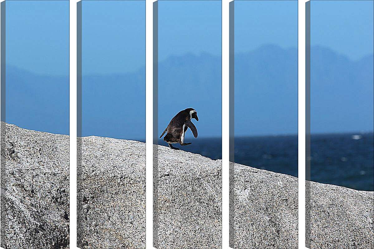 Модульная картина - Пингвин на скале