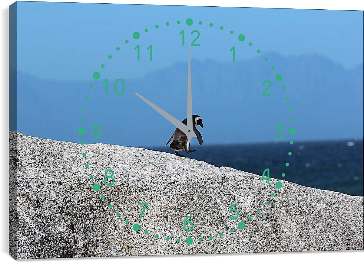 Часы картина - Пингвин на скале