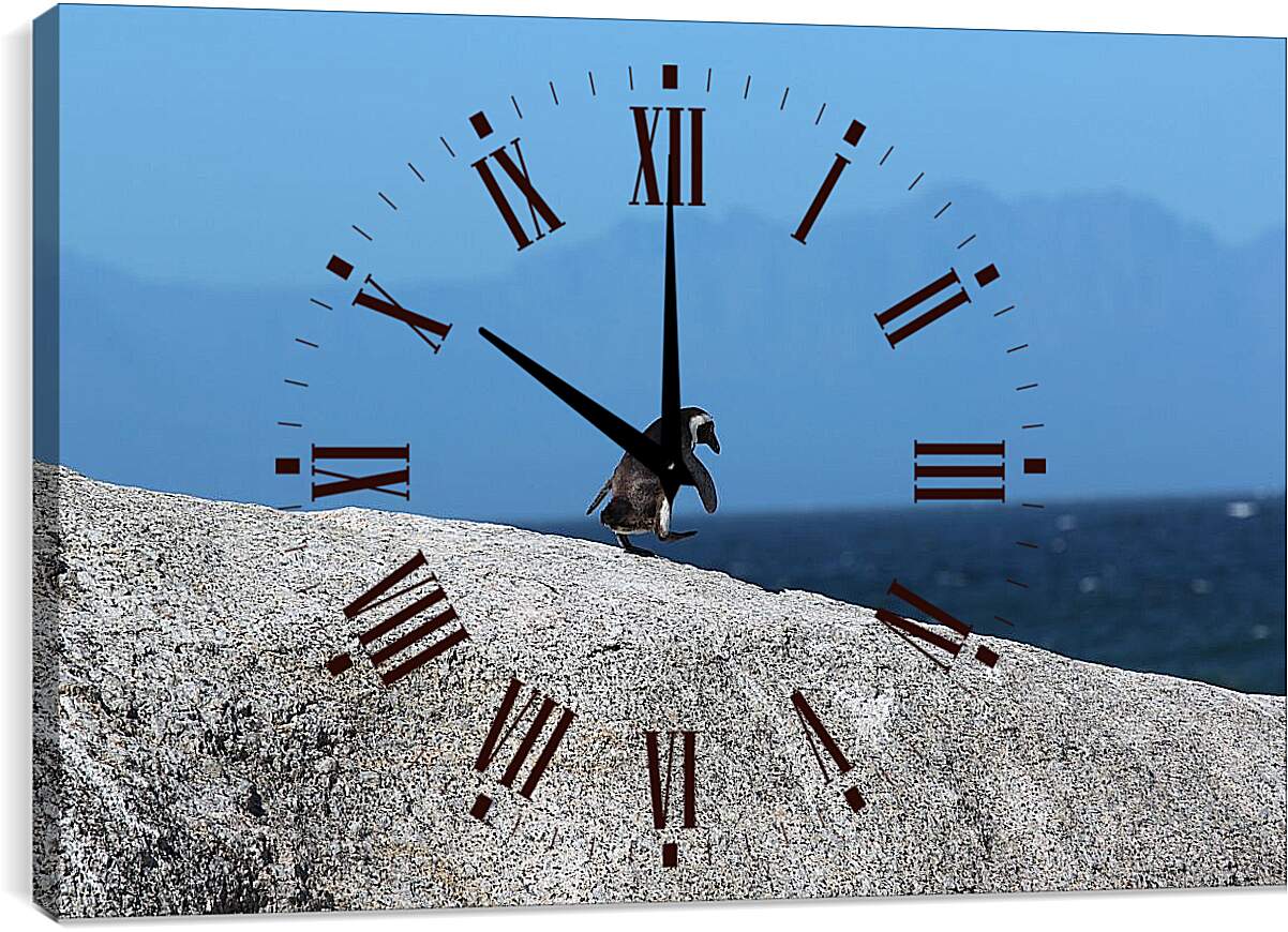 Часы картина - Пингвин на скале