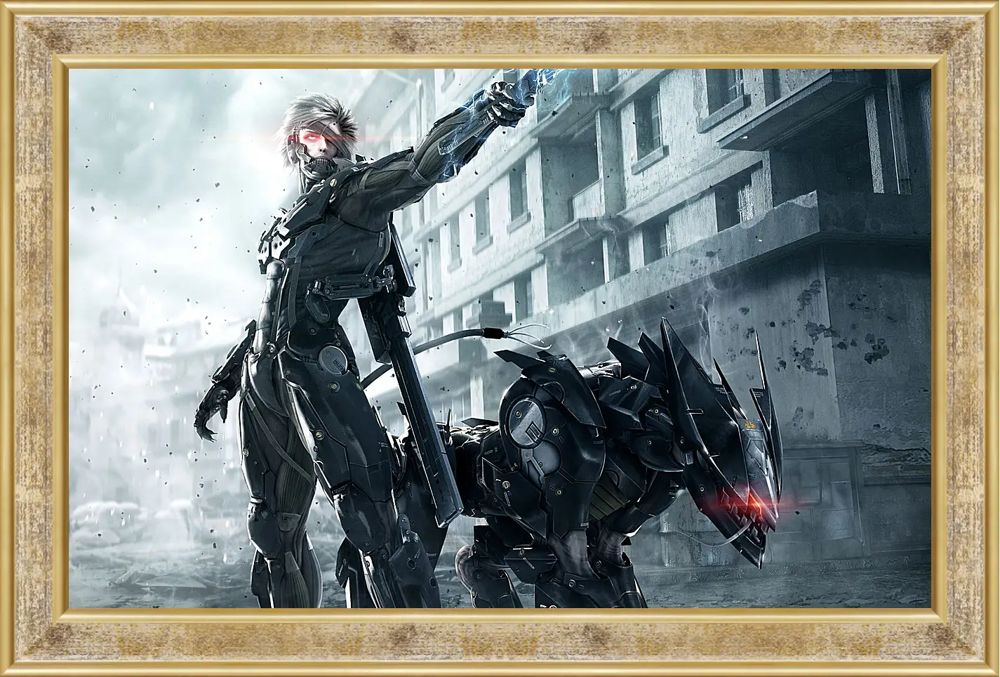 Картина в раме - Metal Gear Rising: Revengeance
