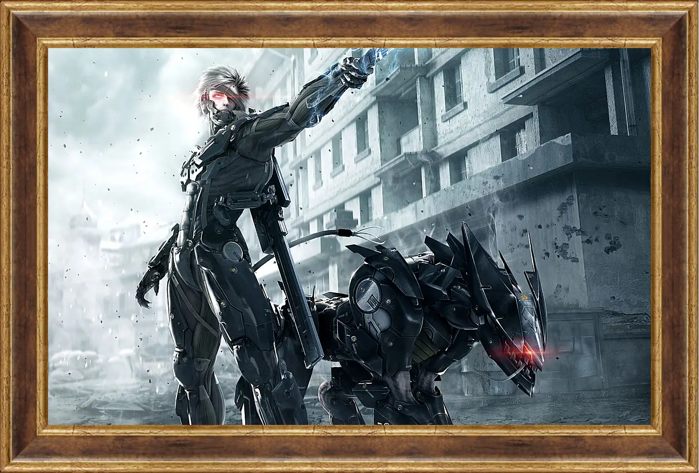 Картина в раме - Metal Gear Rising: Revengeance
