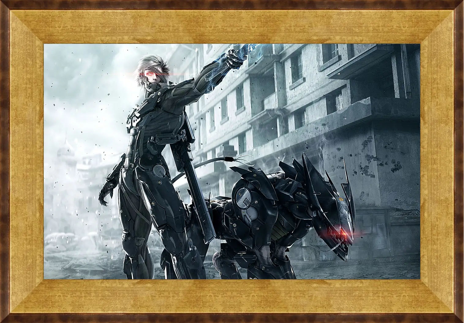 Картина в раме - Metal Gear Rising: Revengeance
