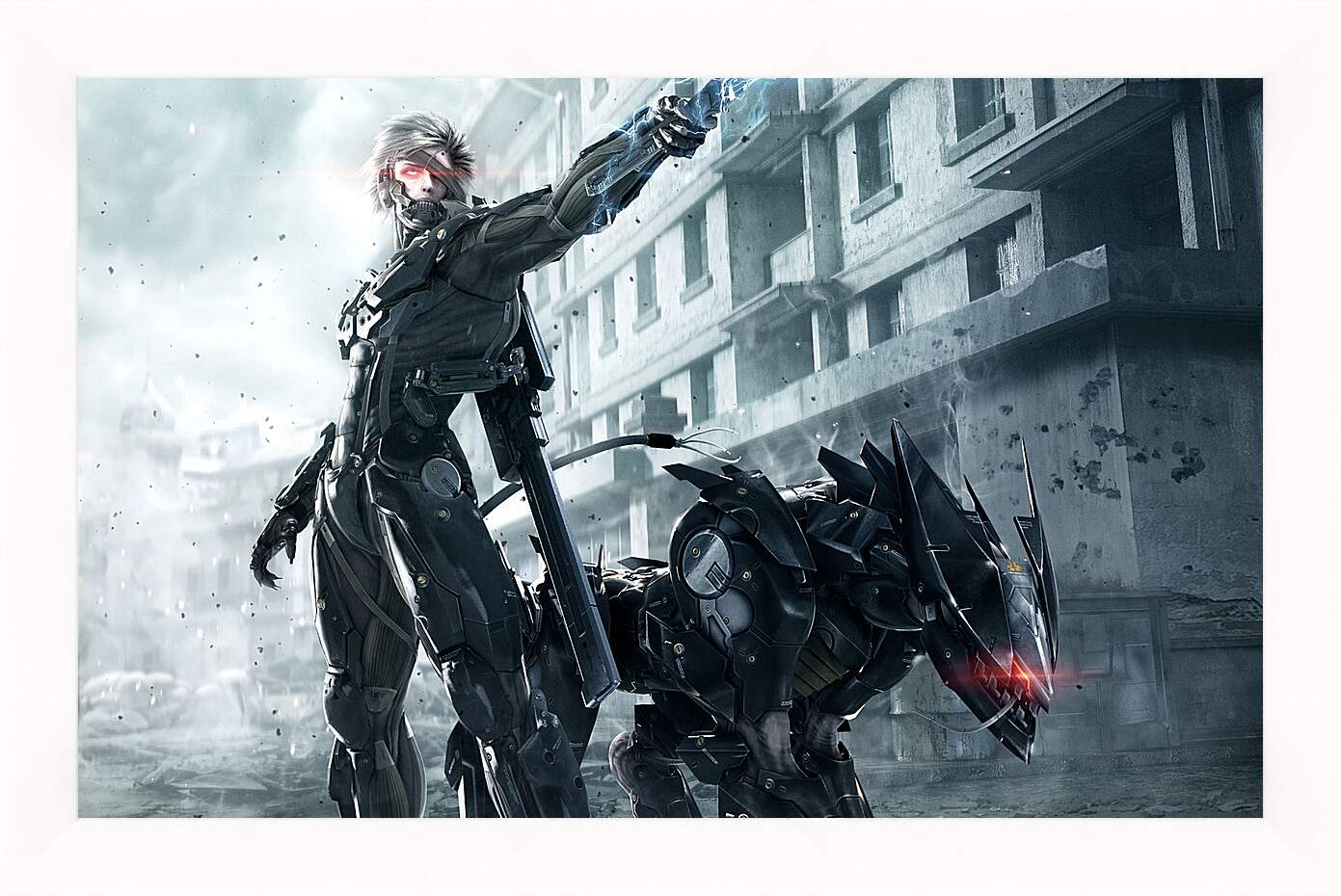 Картина в раме - Metal Gear Rising: Revengeance
