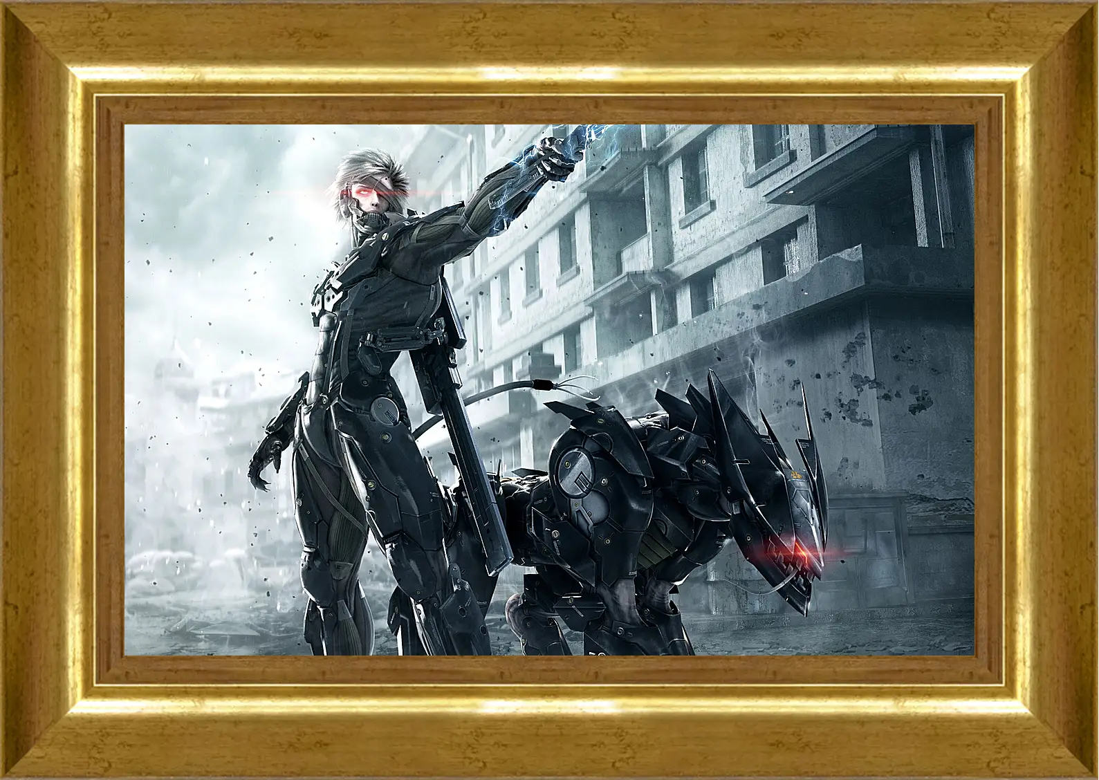 Картина в раме - Metal Gear Rising: Revengeance
