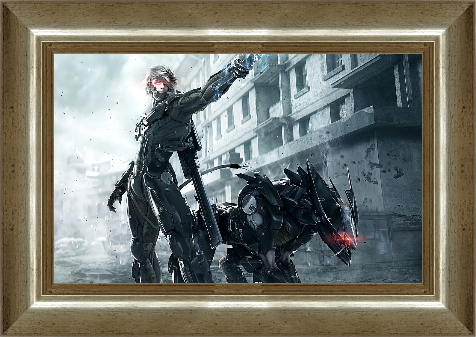 Картина в раме - Metal Gear Rising: Revengeance
