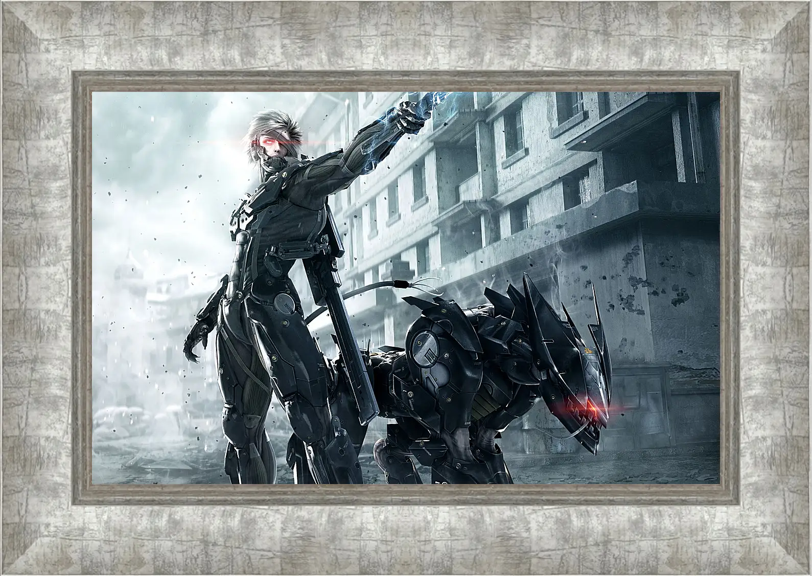 Картина в раме - Metal Gear Rising: Revengeance
