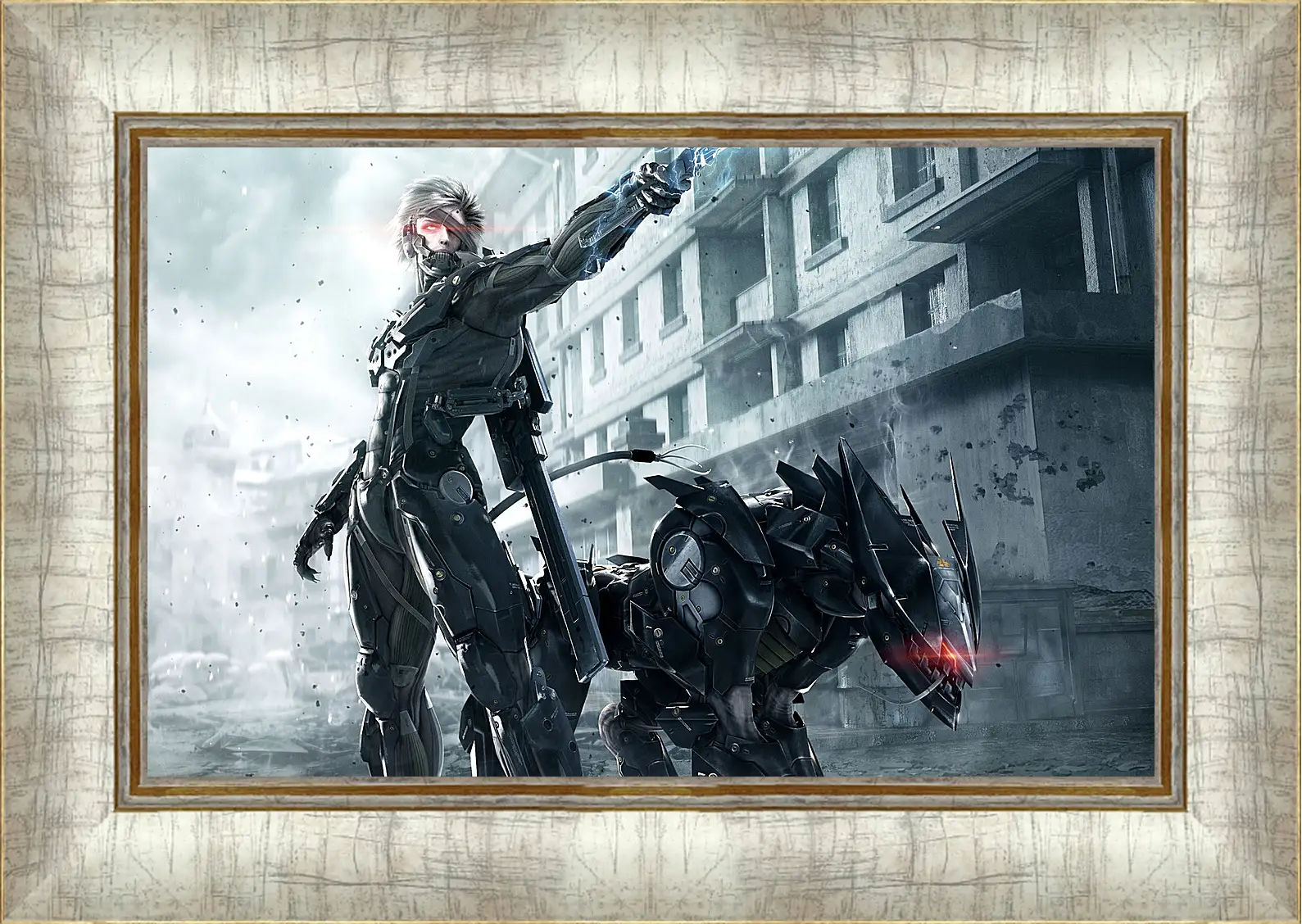 Картина в раме - Metal Gear Rising: Revengeance
