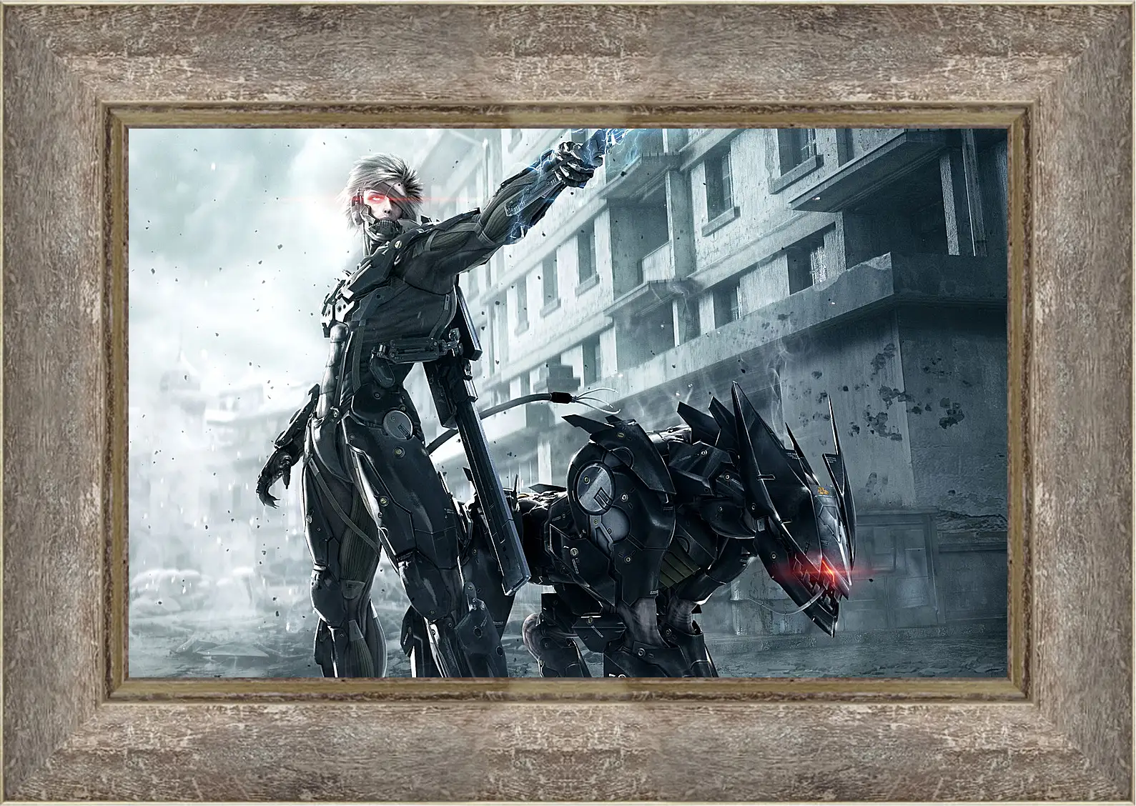 Картина в раме - Metal Gear Rising: Revengeance
