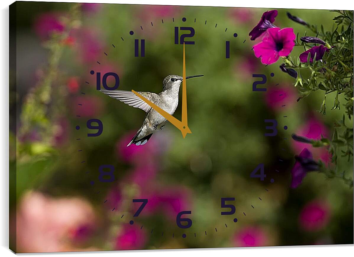 Часы картина - Колибри