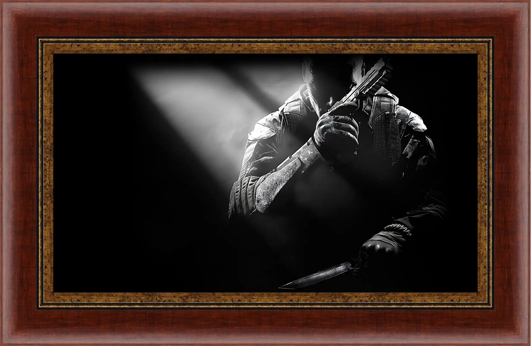 Картина в раме - Call Of Duty: Black Ops