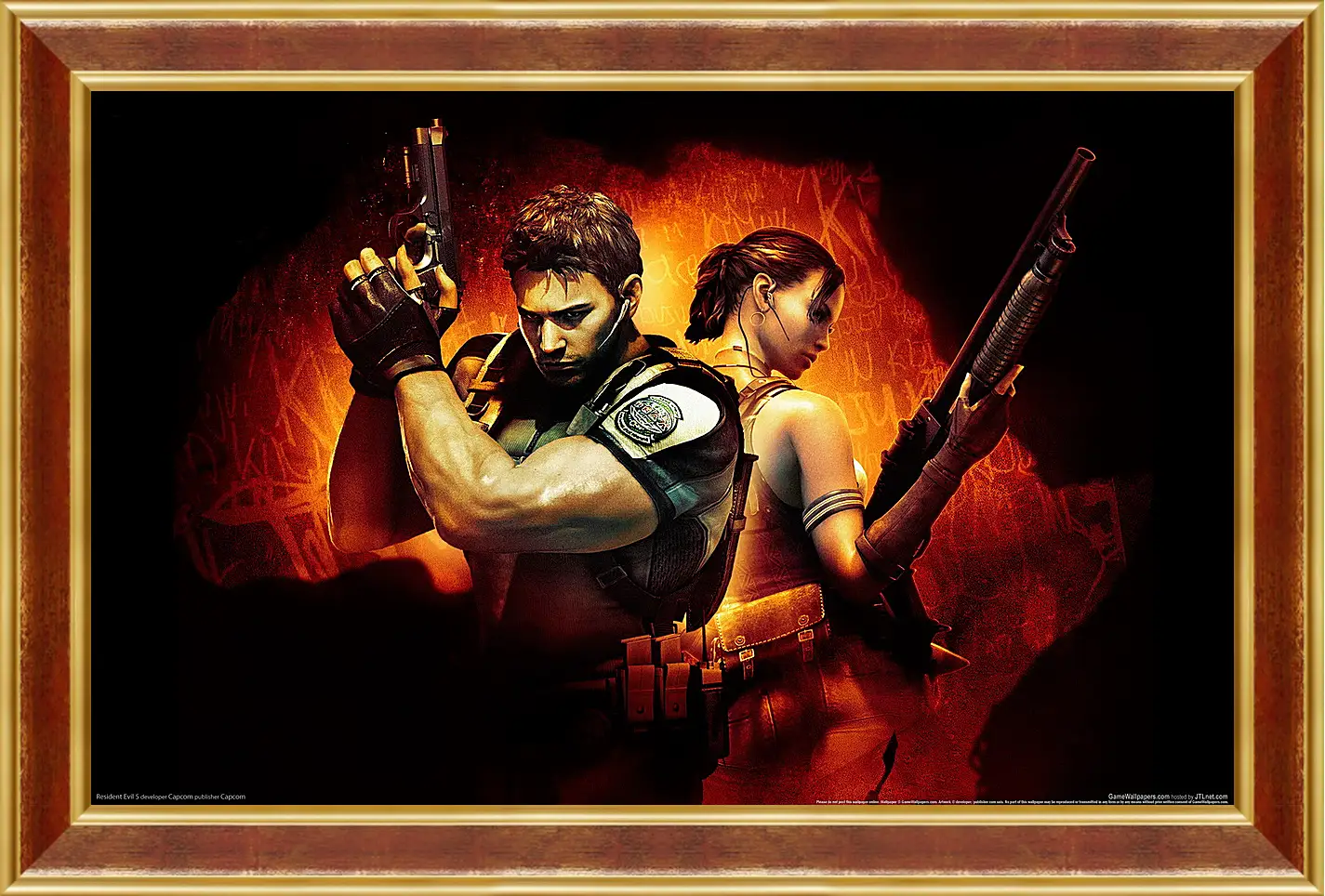 Картина в раме - Resident Evil 5
