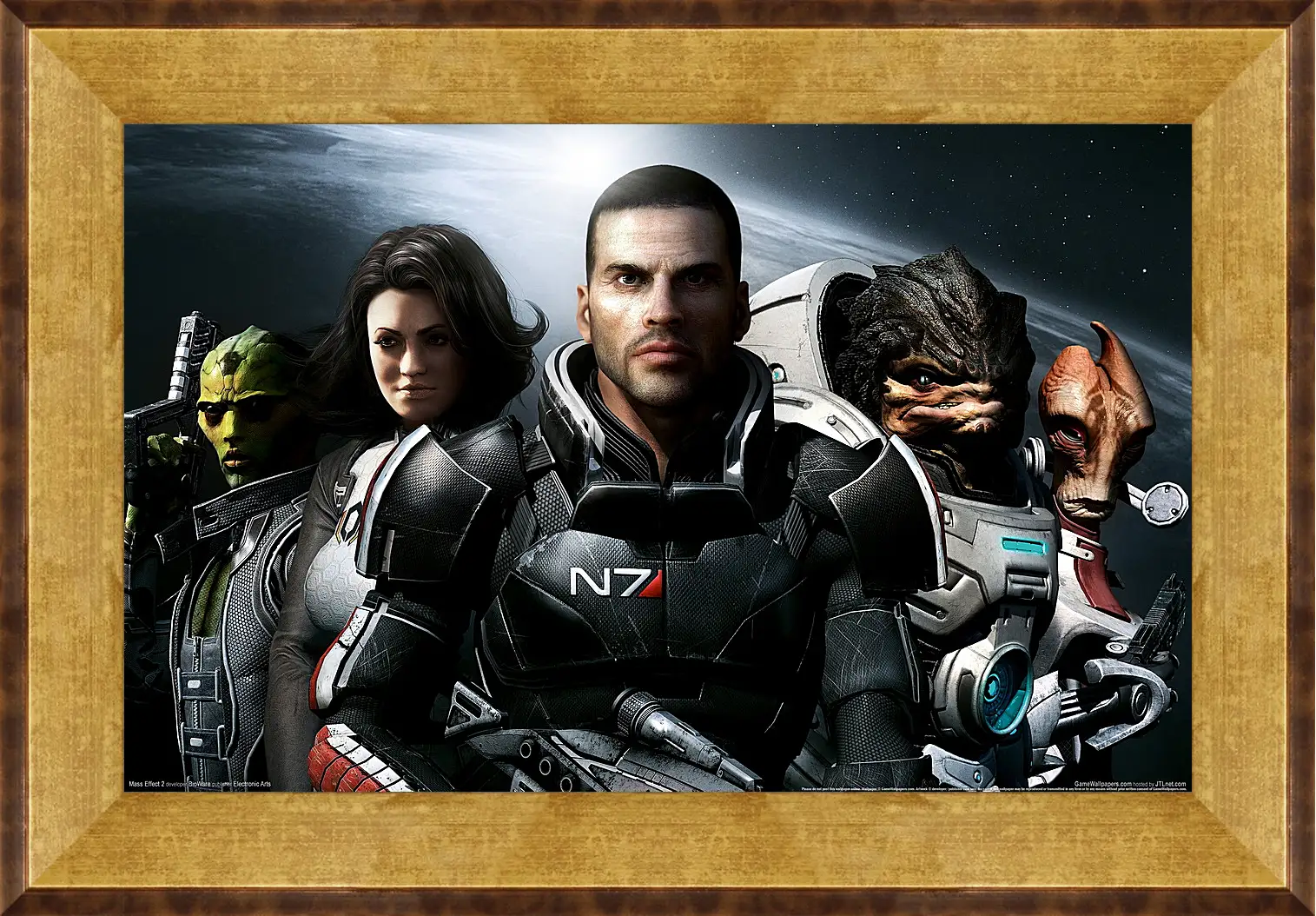 Картина в раме - Mass Effect 2