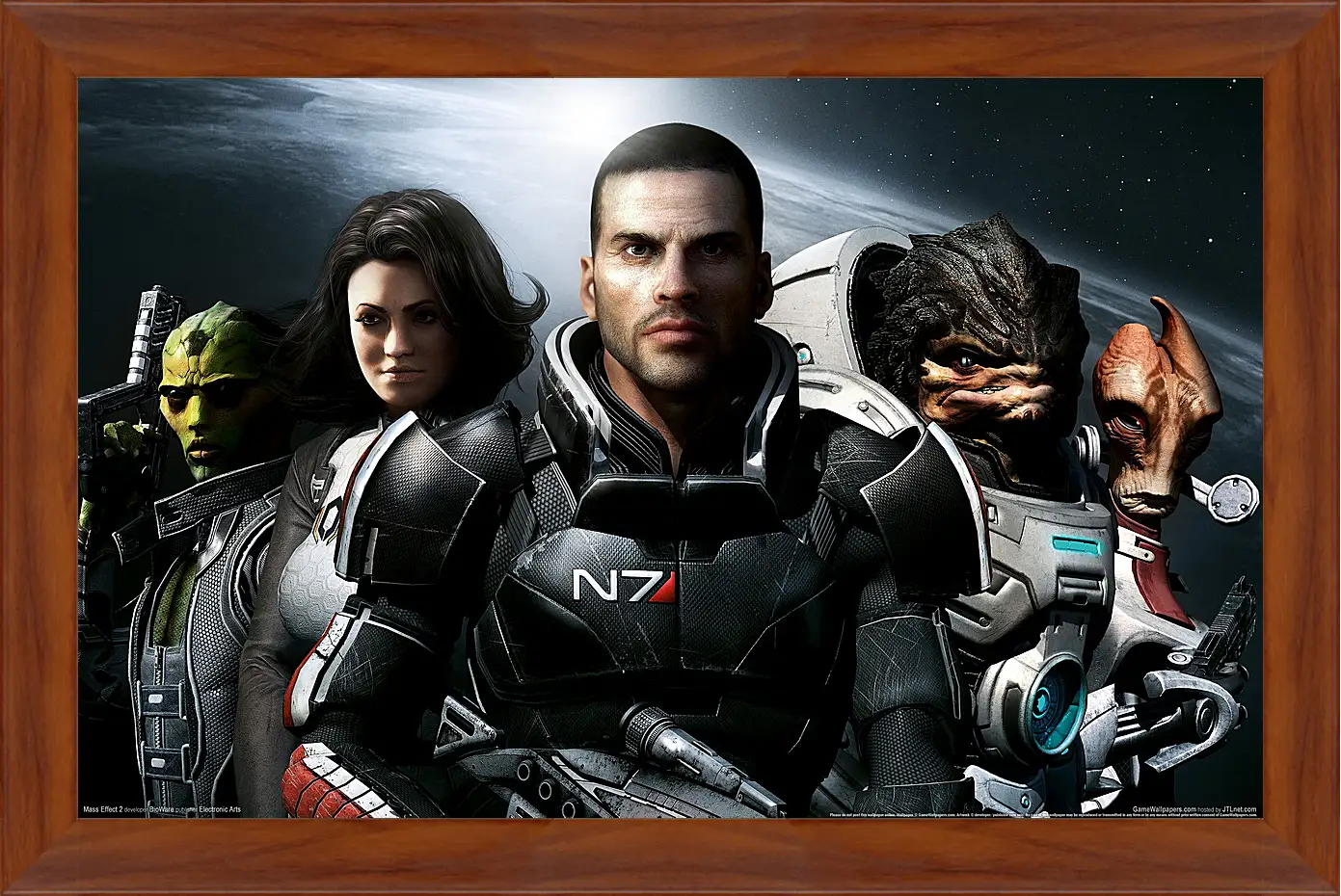 Картина в раме - Mass Effect 2